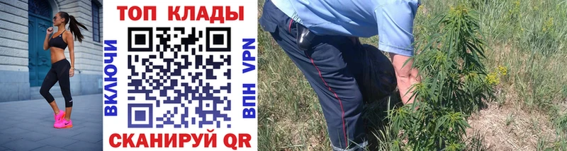 Купить наркотик Киров Псилоцибиновые грибы  Мефедрон  A-PVP  Каннабис  КОКАИН 