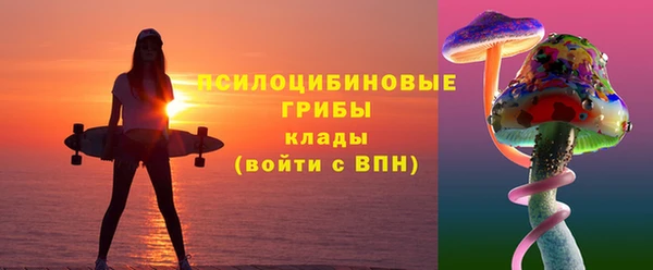 бошки Надым