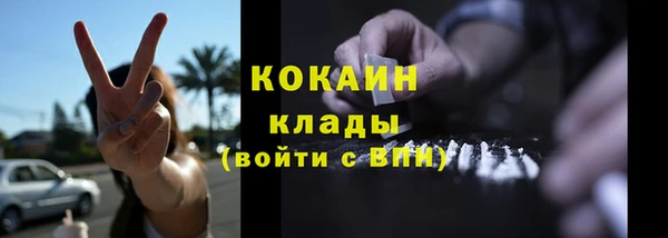 тгк Михайлов