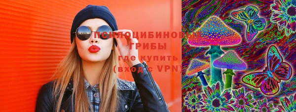 бошки Надым