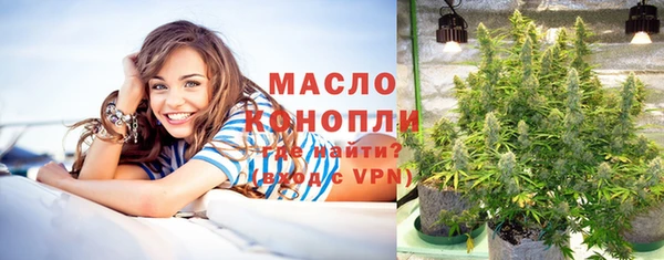 тгк Михайлов