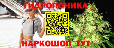 марки lsd Гусиноозёрск