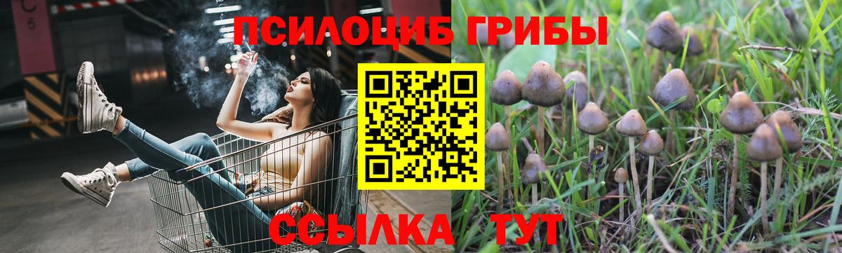 Псилоцибиновые грибы мицелий Киров