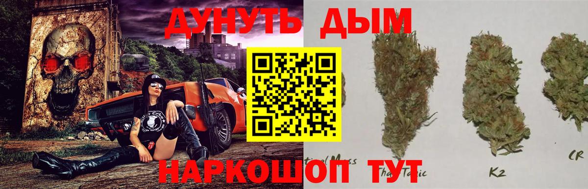 Конопля план Киров