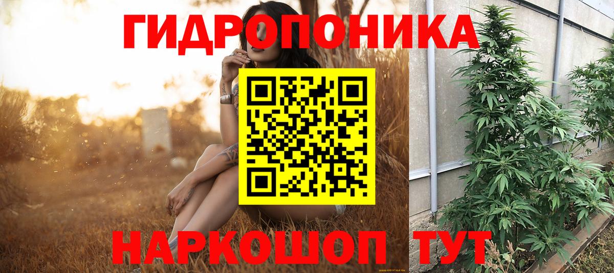 Канабис конопля  МАРИХУАНА SATIVA & INDICA  Бошки Шишки индика  Киров  Вход с VPN  Шишки марихуана сатива 